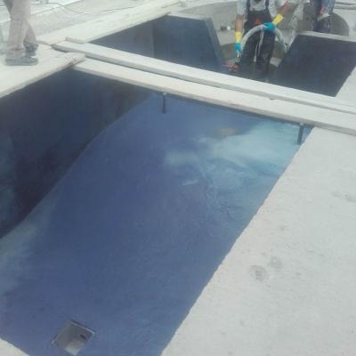 Pools Images 007